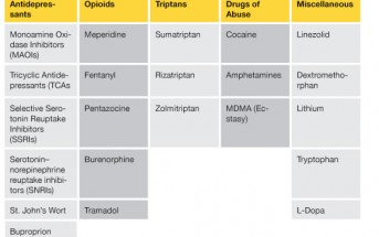 Serotonin Syndrome and the Libby Zion Affair