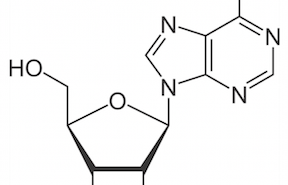 Adenosine w