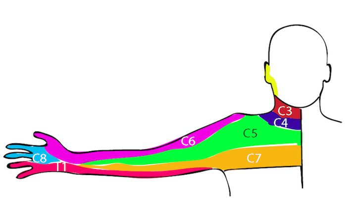 Tramadol dosage pinched nerve shoulder blades